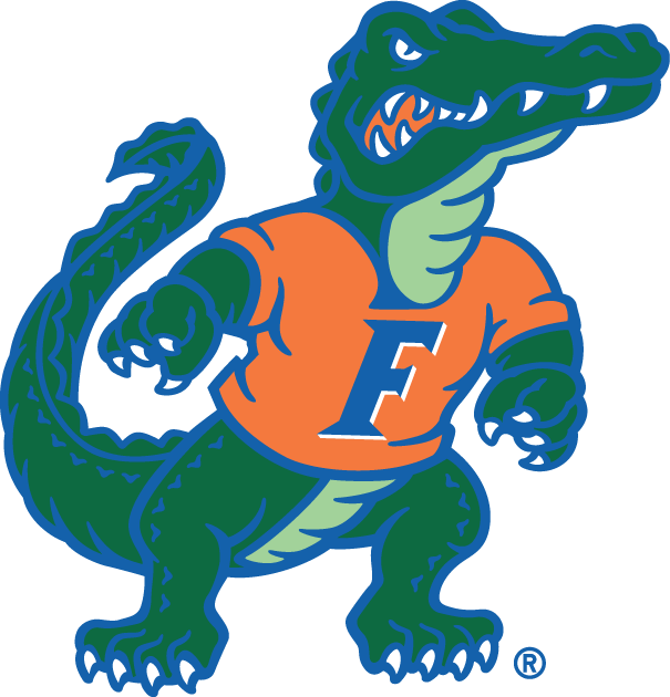 Florida Gators 2003-2012 Alternate Logo DIY iron on transfer (heat transfer)